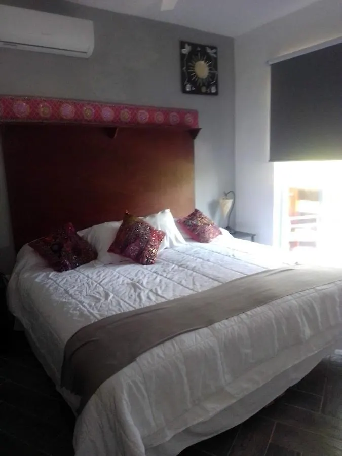 La Casa De Los Azulejos Mar Y Selva Puerto Morelos Homestay
