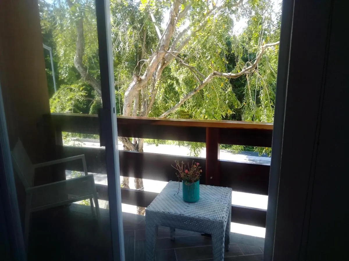 La Casa De Los Azulejos Mar Y Selva Puerto Morelos Homestay