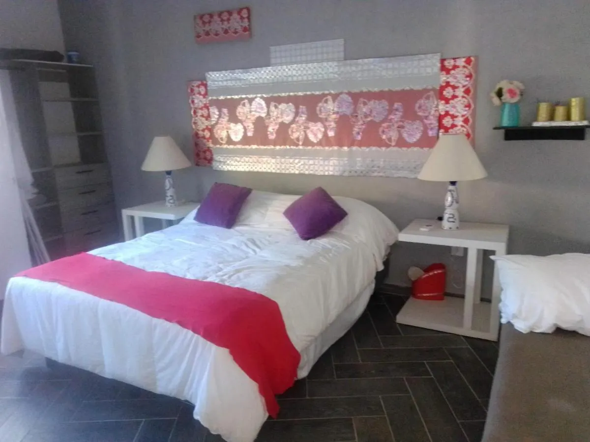 Homestay La Casa De Los Azulejos Mar Y Selva Puerto Morelos Mexico